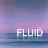 Entry4 - Fluid - Single